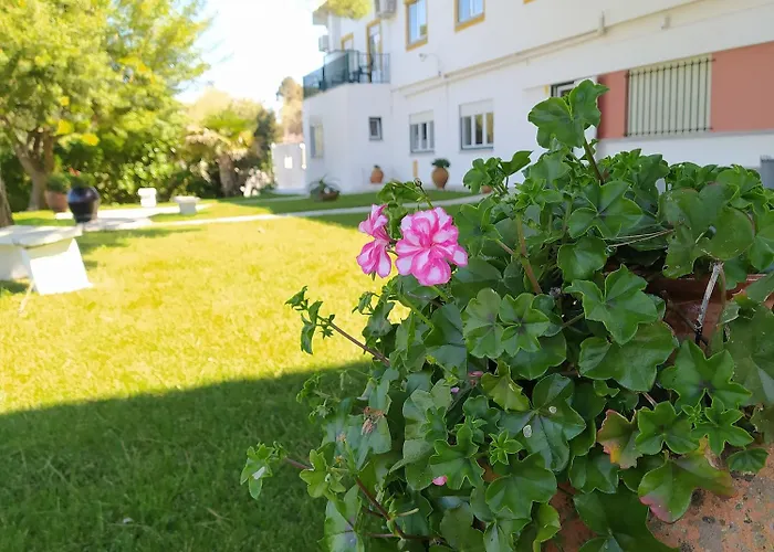 Louro فندق Óbidos